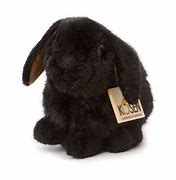 Image result for Stuffed Bunny Gift
