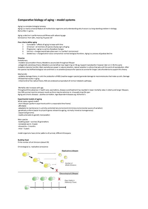 Aging Model 的图像结果