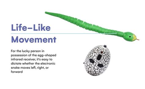 🌲🎁Innovation Snake – APWETY