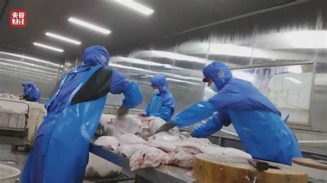 安徽阜阳预制菜企业梅菜扣肉原料是槽头肉，当地回应正在处理