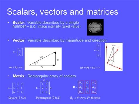 Image result for Algebra Lineal Matrices
