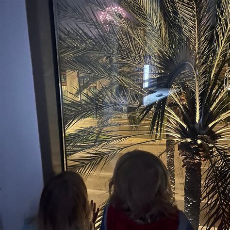 SPRINGHILL SUITES BY MARRIOTT AT ANAHEIM RESORT/CONVENTION CENTER ...