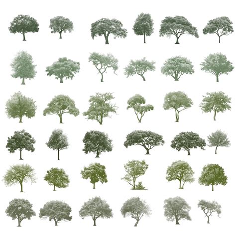 13+ Photoshop Tree Brushes Pack Psd