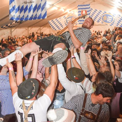 Musik Hans 的图像结果