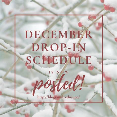 DECEMBER Drop-In Schedule is now Posted! – College of Management ...