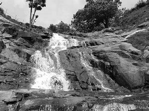 FUCHSIA (Kotagiri, Tamil Nadu) - Lodge Reviews & Photos - Tripadvisor