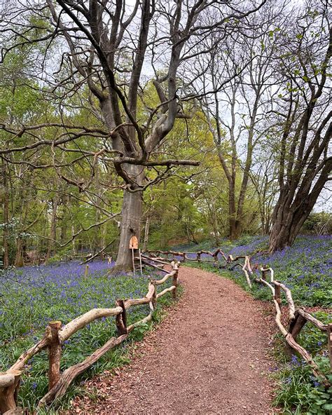 Image result for Trading Boundaries Map