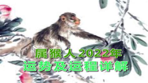 属猴人2022年运势及运程详解 。有兴趣的朋友欢迎收看哦！ - YouTube