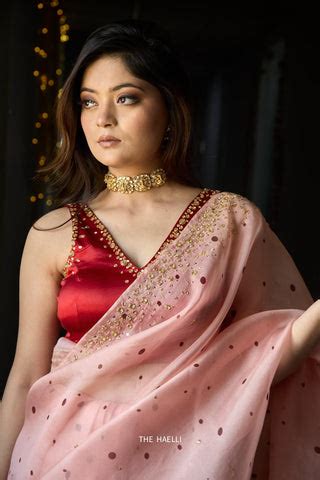 Polka Story Salmon Organza Saree – The Haelli