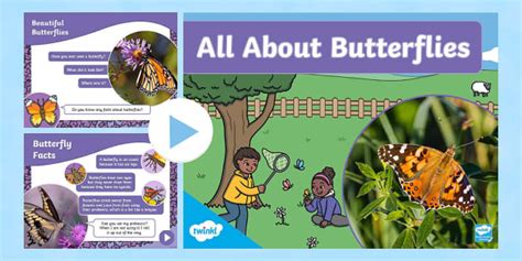 All About Butterflies PowerPoint