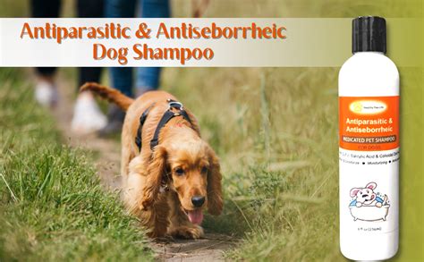 Buy Healthy Paw Life Antiparasitic & Antiseborrheic Dog Shampoo (250 ml ...