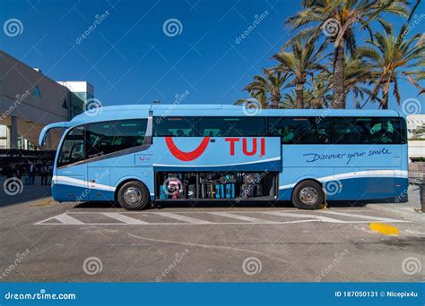 Image result for Tui Local Bus