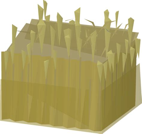 Image result for Wheat Tree OSRS