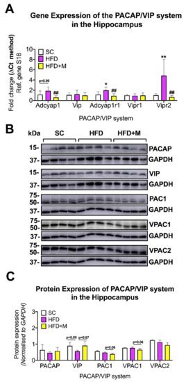 IJMS | December-2 2021 - Browse Articles
