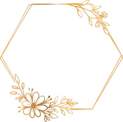 Image result for Hexagonal Frame Png