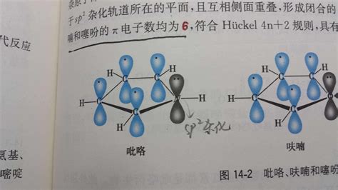 氧原子sp2杂化图解-图库-五毛网