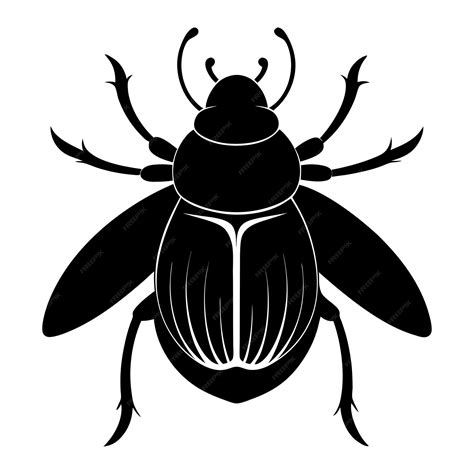 A black and white beetle illustration Beetle icon Silhouette | Premium ...