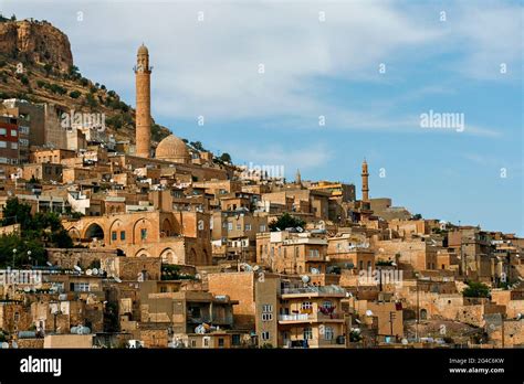 Image result for Compressed Database Sample