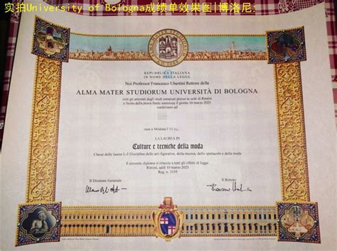 意大利语米兰大学硕士学位证书学历认证盖章翻译模板