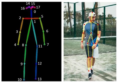 Image result for Openpose Python-Opencv