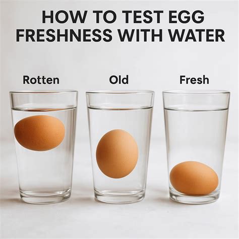 Filling - 🥚 Secret Kitchen Test: Is Your Egg Fresh or Rotten? Just Use ...