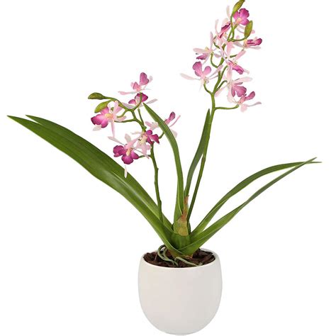 Buy Rinlong Silk Orchid with Ceramic Vase Pot White Artificial Orchid ...