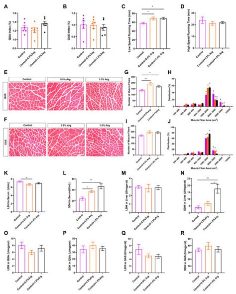 Arginine Regulates Skeletal Muscle Fiber Type Formation via mTOR ...