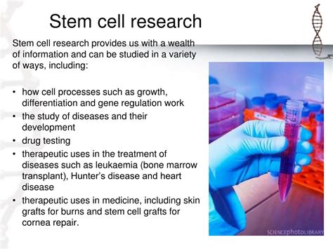 Image result for Selective Gene Expression