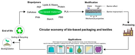 Bio-Based Packaging: Materials, Modifications, Industrial Applications ...
