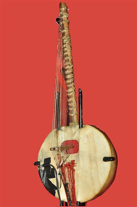 Image result for African String Instruments