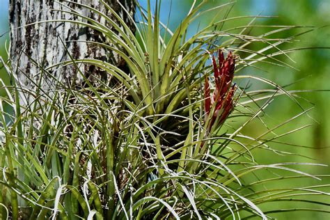 Tradewinds Park and Stables