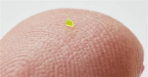 Image result for Cache Microscopic