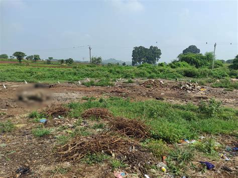 Complaint to provincial officer for dumping carcasses of dead animals ...