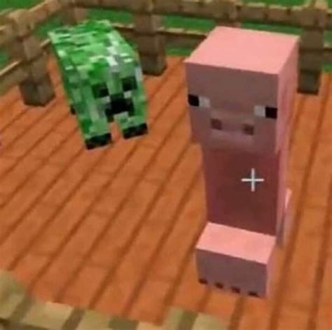 Image result for Bionic Minecraft Peepe Choppa