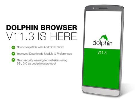 Image result for Dolphin File Browser