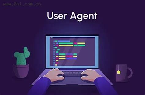 User Agent Python 的图像结果