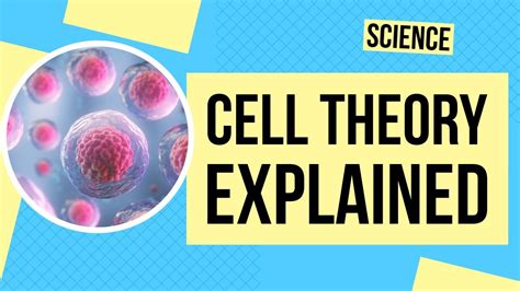 Image result for Cell Theory Explained