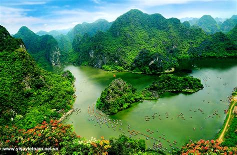 Image result for Student Learning Computer Text