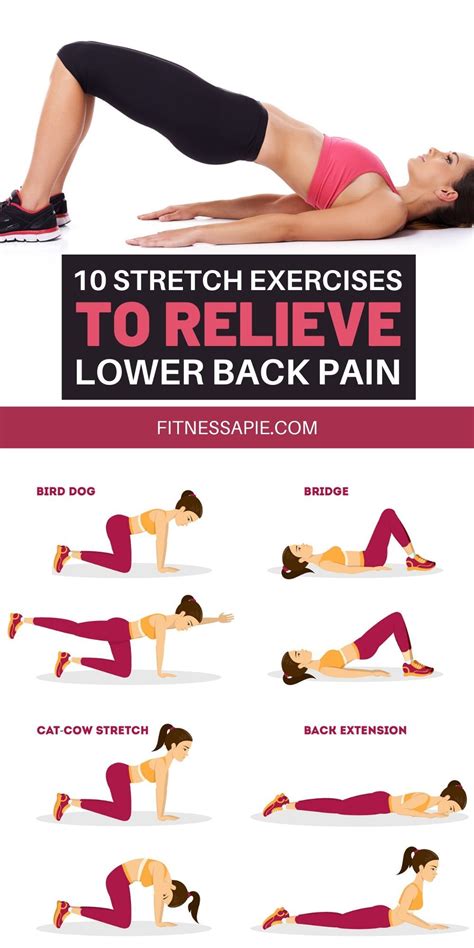 Image result for Lower Back Stretching Exercises