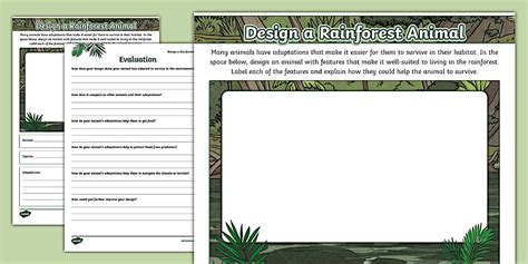 Design a Rainforest Animal Worksheet