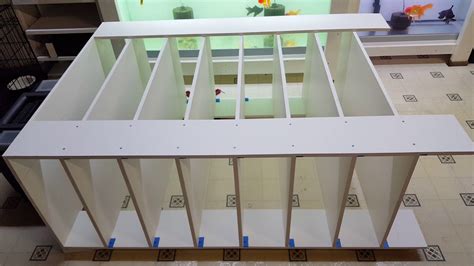 Image result for DIY Ball Python Rack