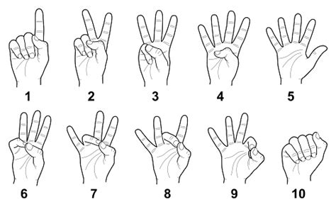 Image result for Cardinal Numbers in Sign Language