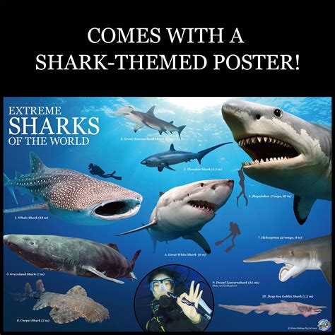 Buy WILD! Science Environmental Science Create and Customize Models and ...