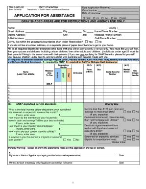 Fillable Online dphhs mt dphhs hcs 250 rev 01 2015 Fax Email Print ...