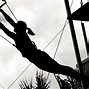 Image result for Flying Trapeze Experience