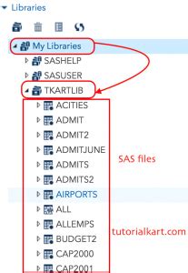 Creating a Library SAS 的图像结果