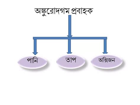 Image result for Class 8 Science Lesson 1