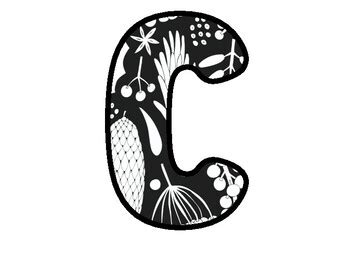 Woodland Bulletin Board and Classroom Activity Ideas for Elementary School