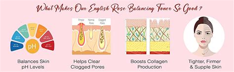 Buy NutriGlow NATURAL'S English Rose Balancing Toner For Natural Scent ...