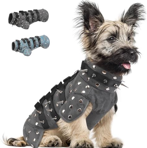 Amazon.com: EMUST Coyote Proof Vest for Small Dogs, Waterproof Hawk ...